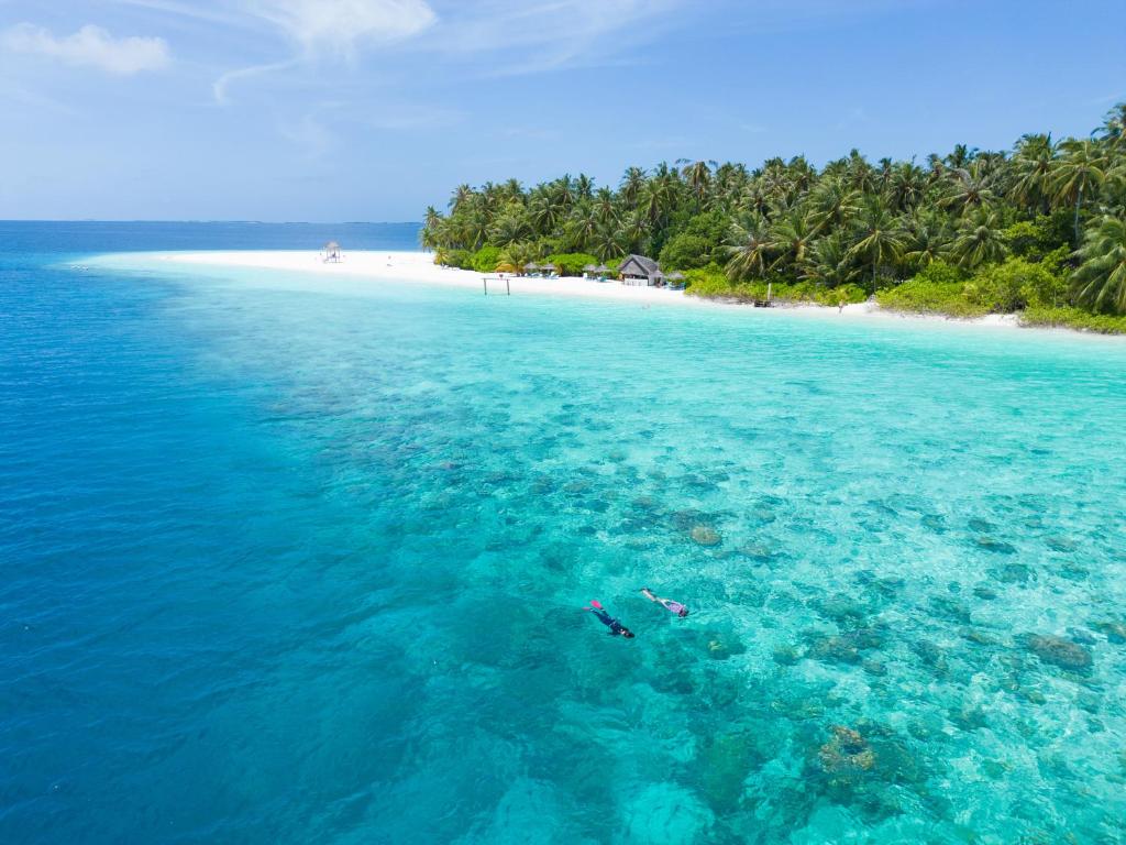 коралловый риф и подводный мир