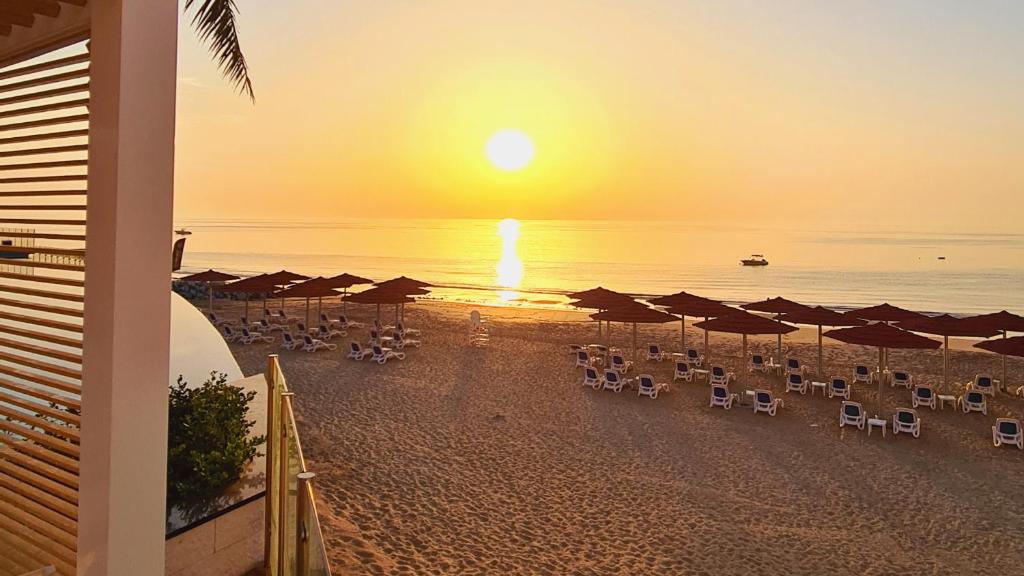 Royal M Beach Resort Al Aqah пляж