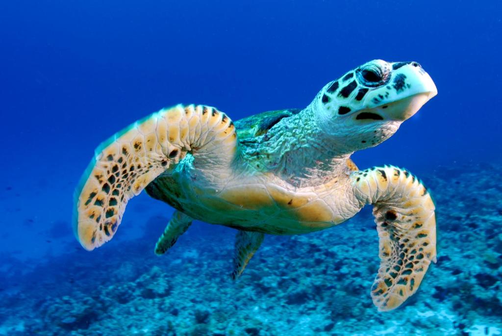 рестораны и бары