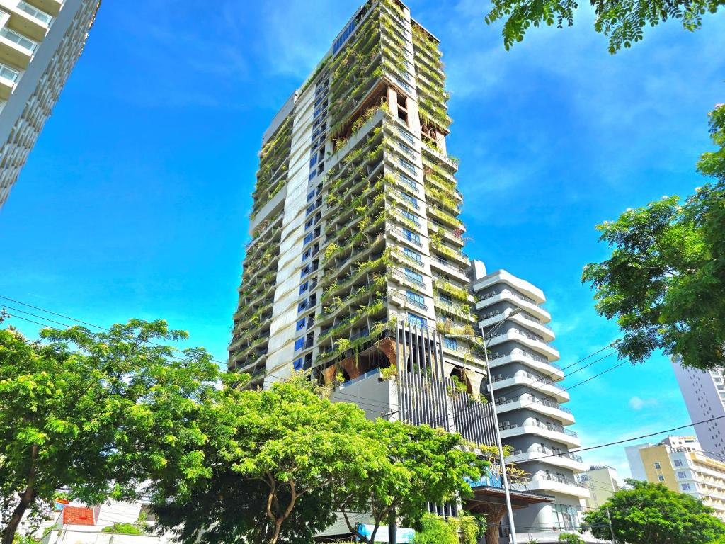 Превью видео 1